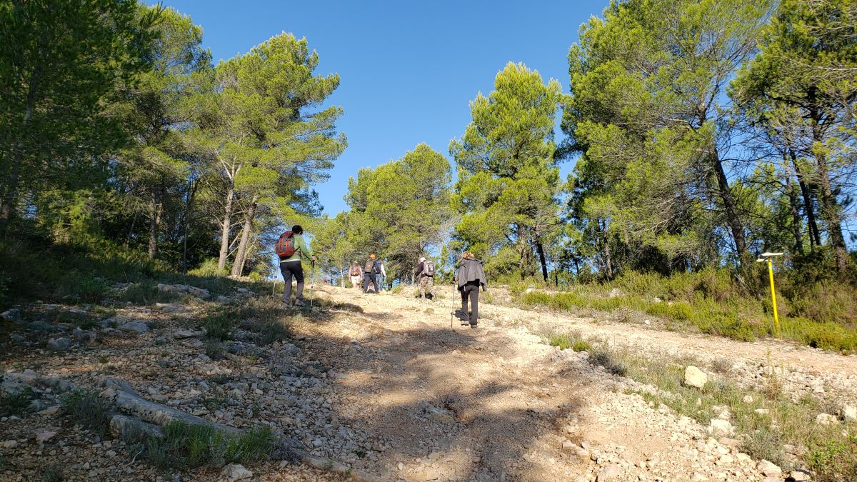 Brignoles, les dolmens