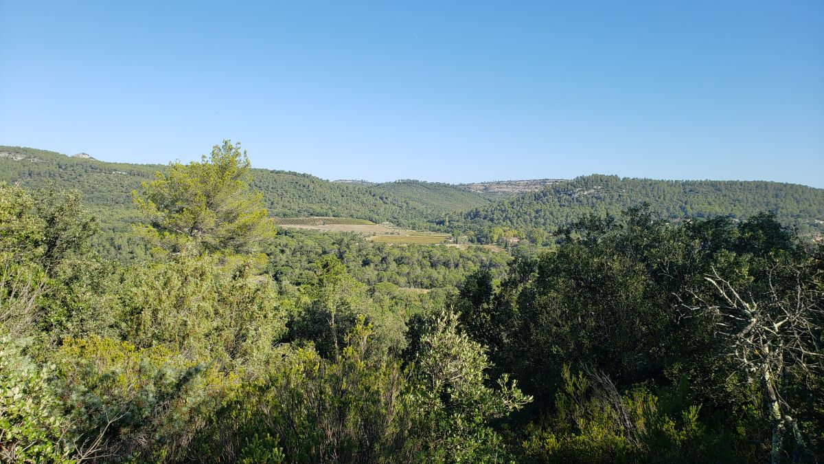 Brignoles, les dolmens