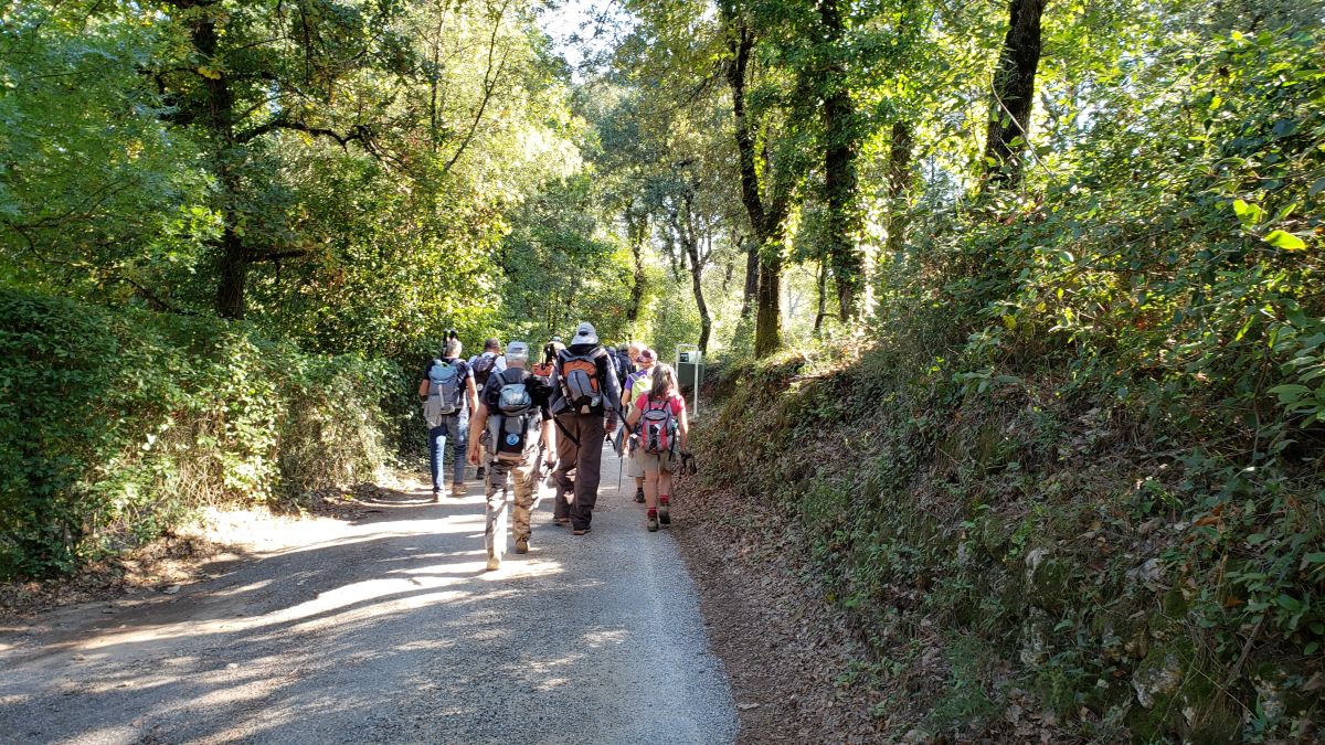Brignoles, les dolmens