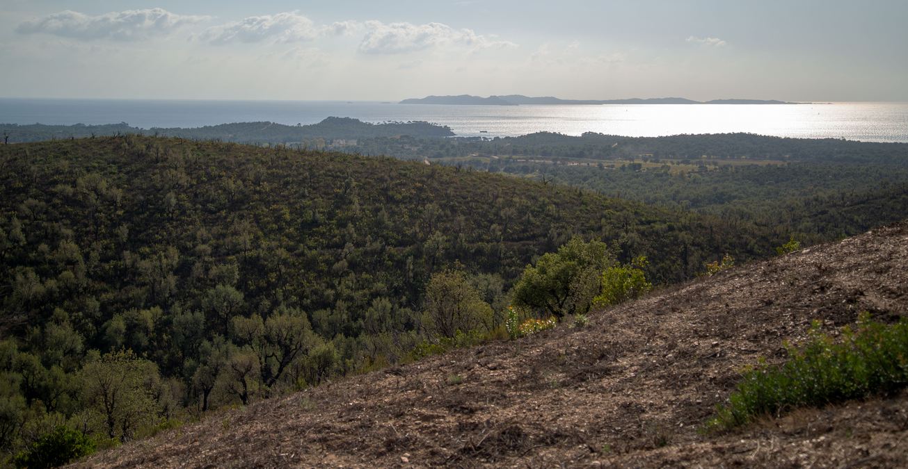 La Londe, le Trapan