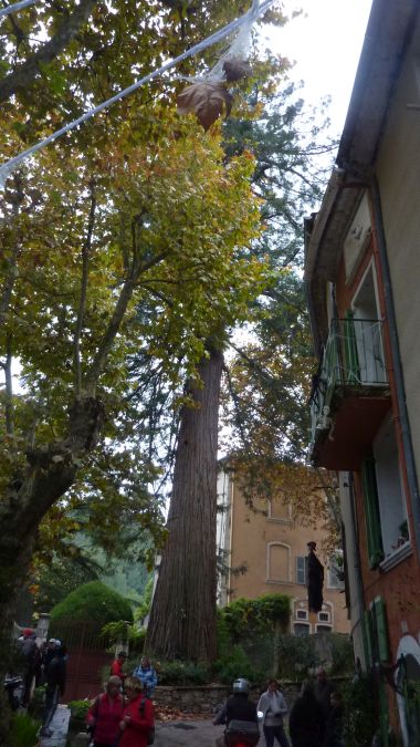 Belgentiers