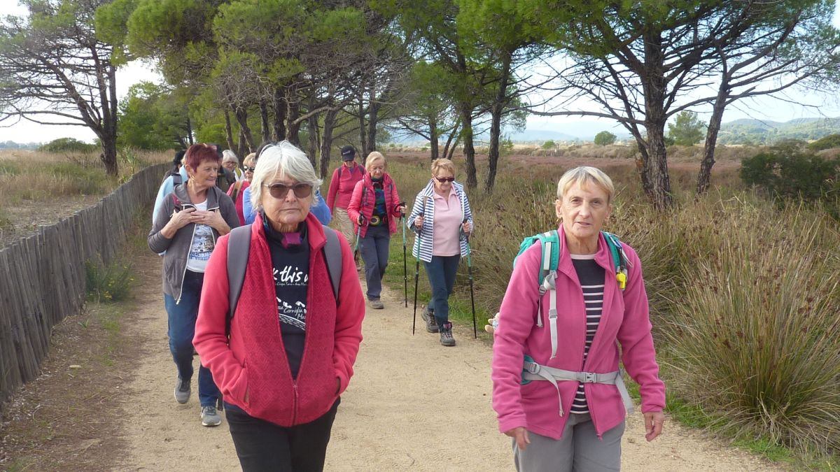 Les Salins