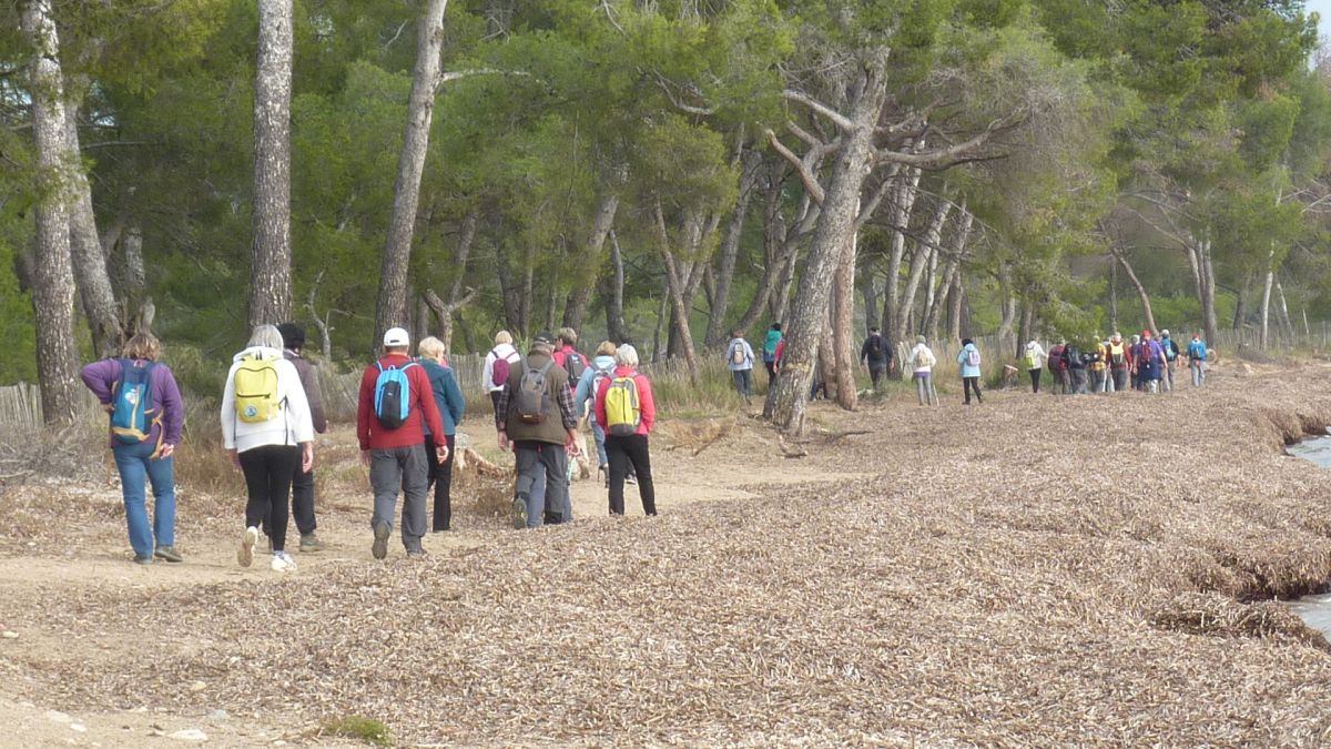 Les Salins