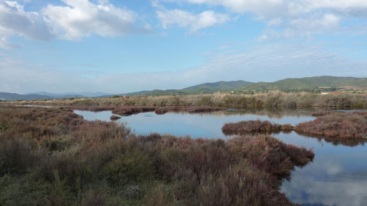 Les Salins
