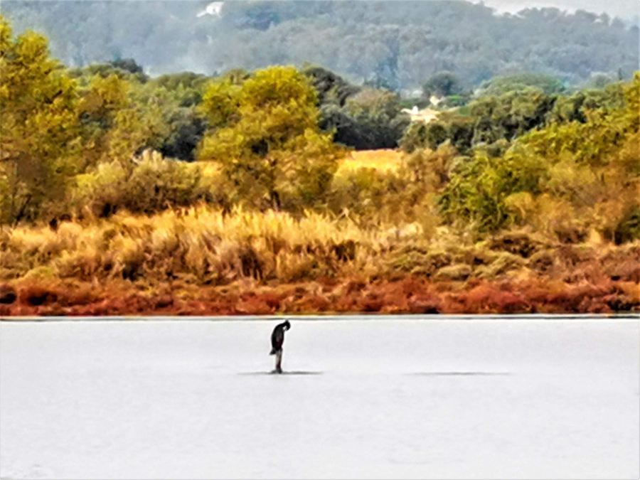 Les Salins