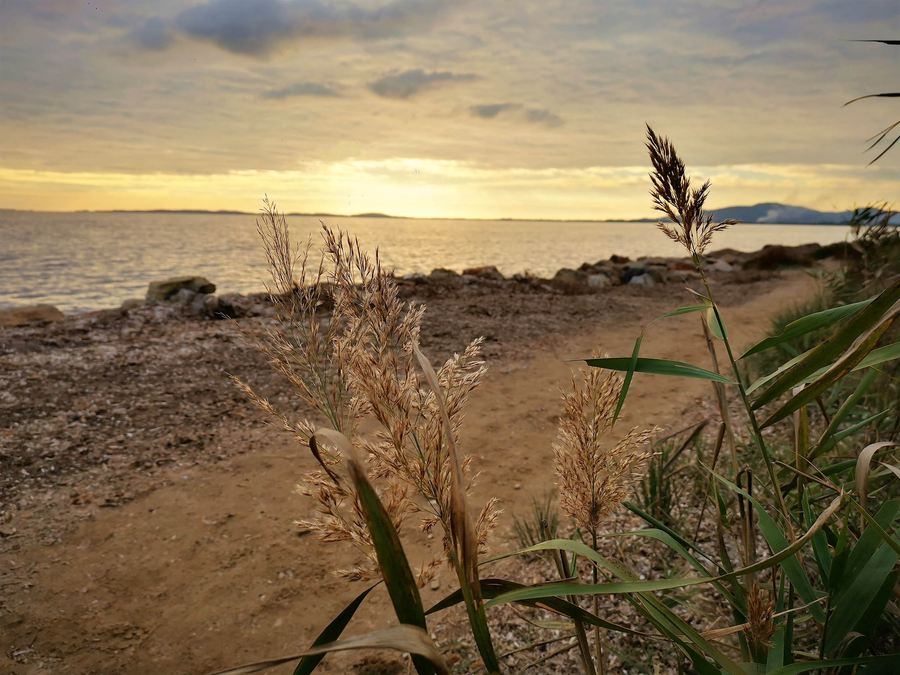 Les Salins