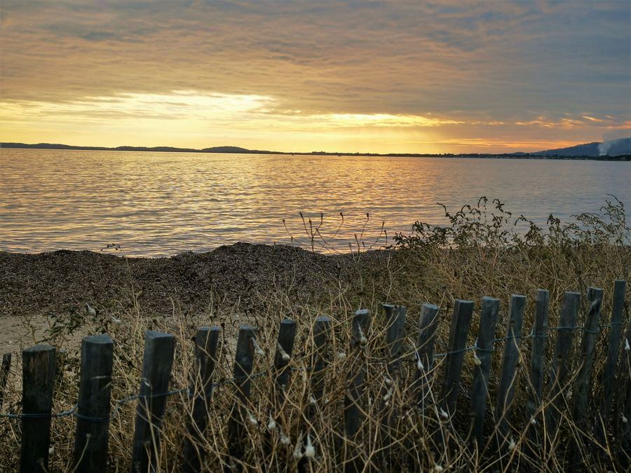 Les Salins