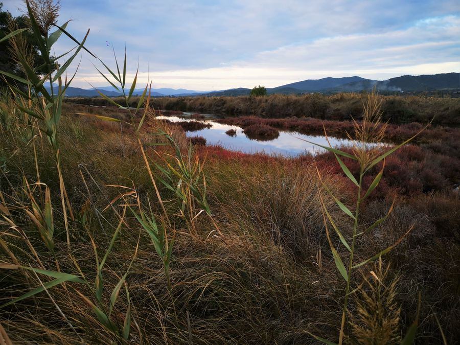 Les Salins
