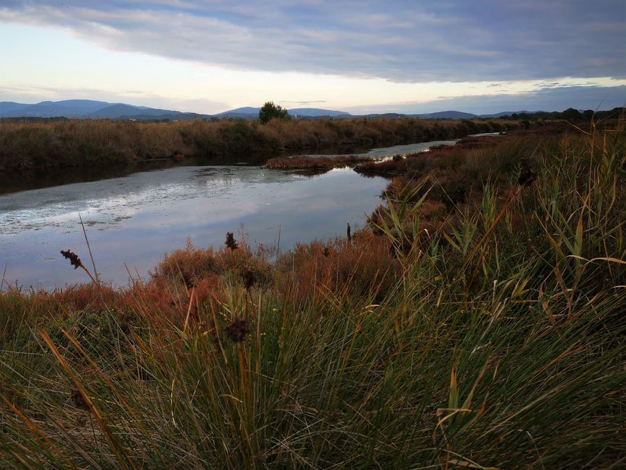 Les Salins