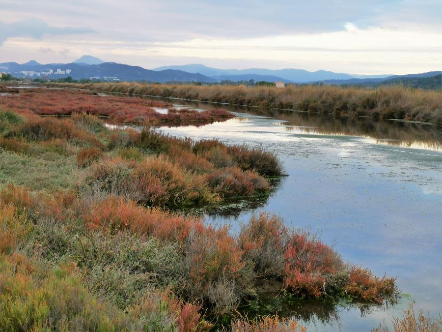 Les Salins