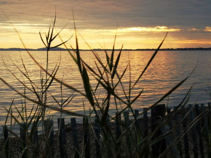 Les Salins