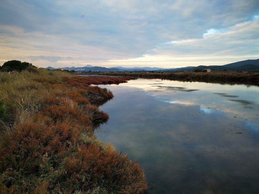 Les Salins