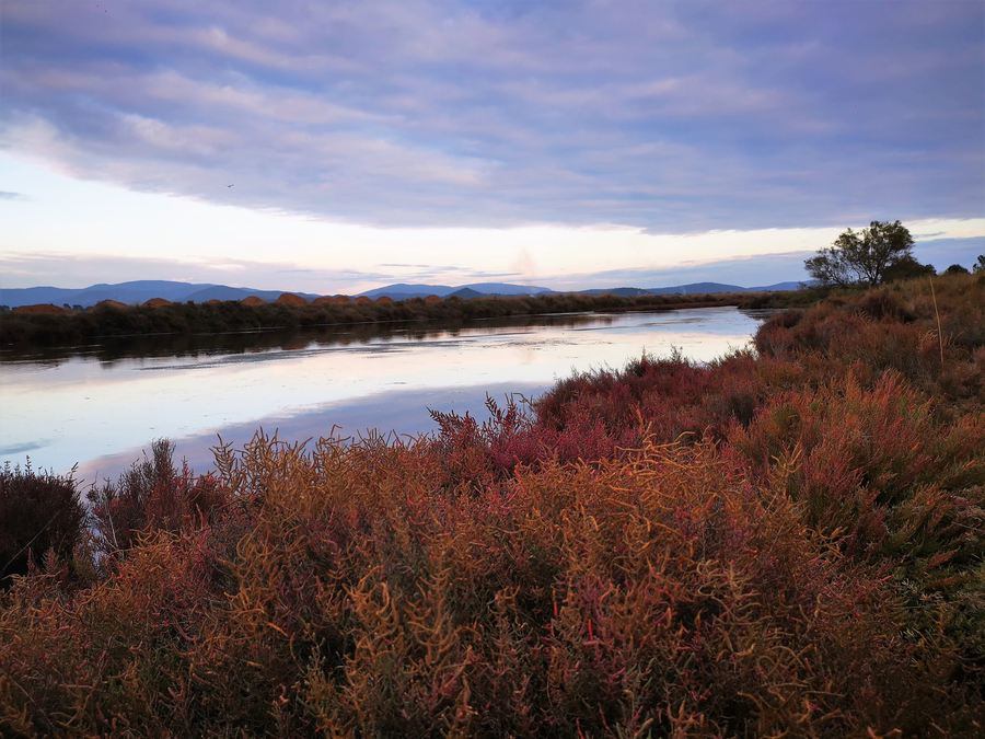 Les Salins