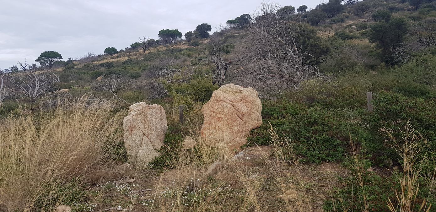 Cap Taillat