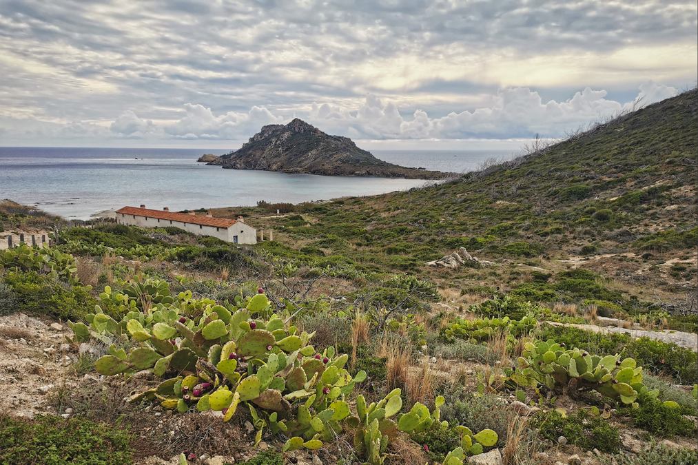 Cap Taillat