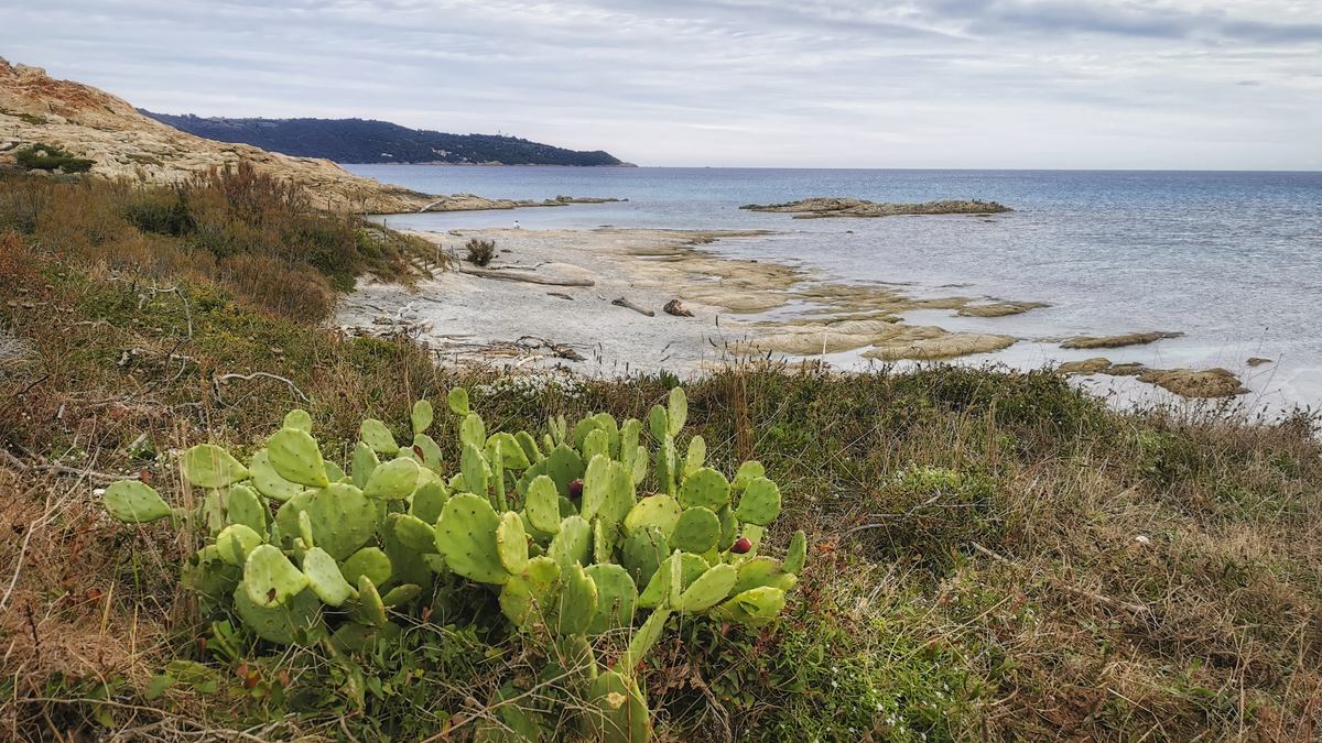 Cap Taillat