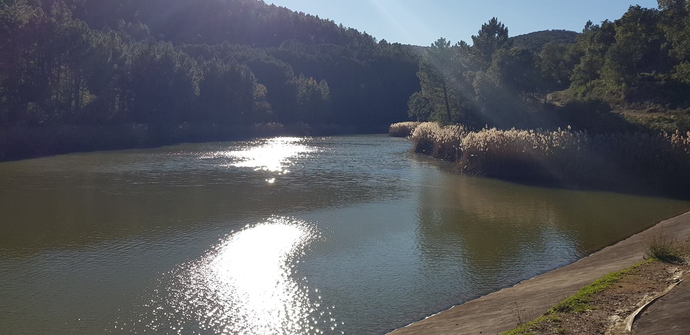 Collobrières, le Crapaud