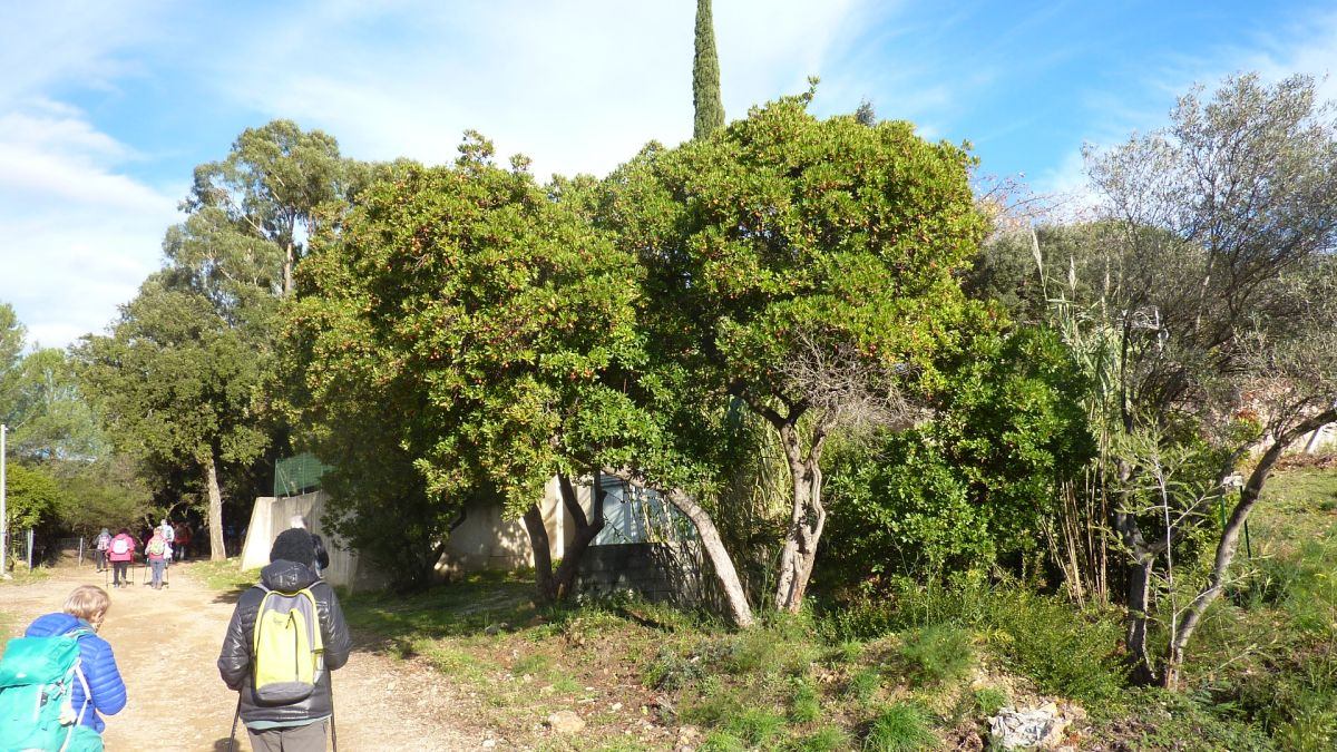 La Londe, N-D des Maures