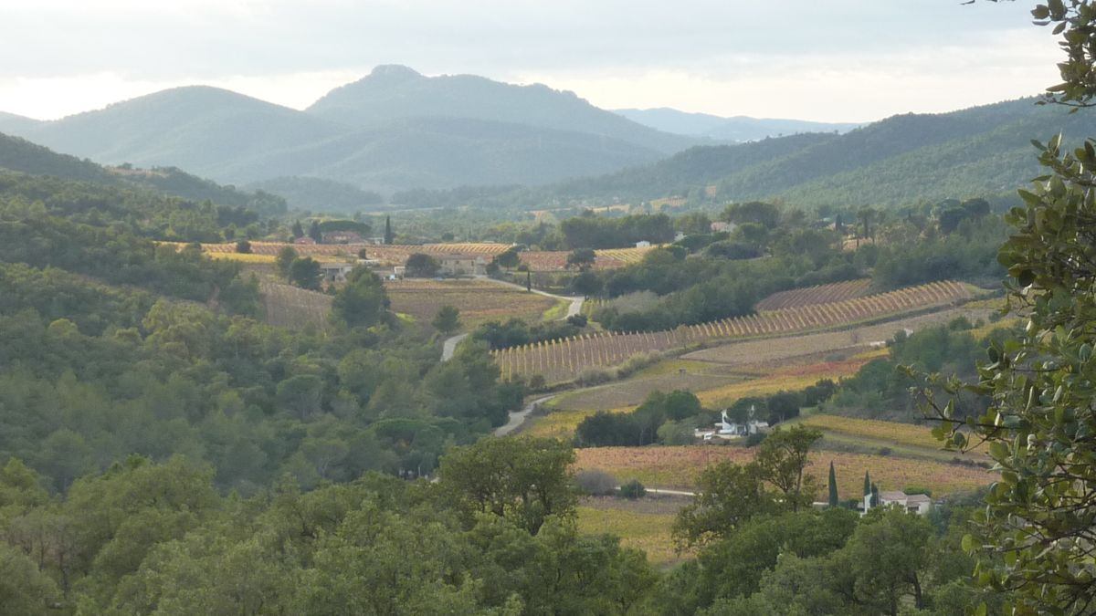 La Londe, N-D des Maures
