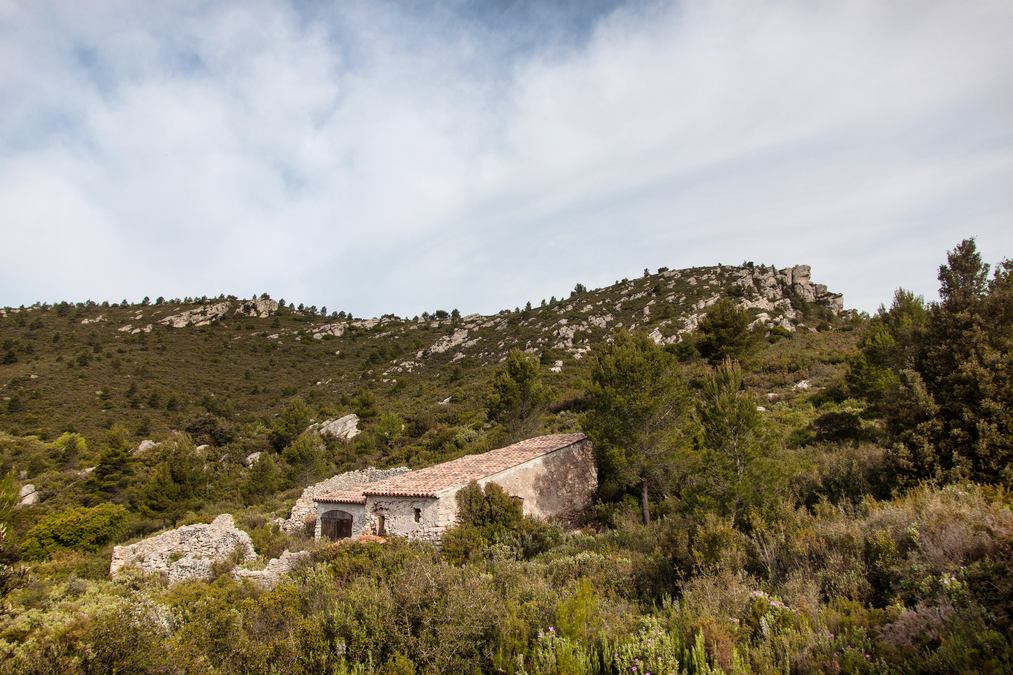 Cuges les Pins, le mont Cruvelier