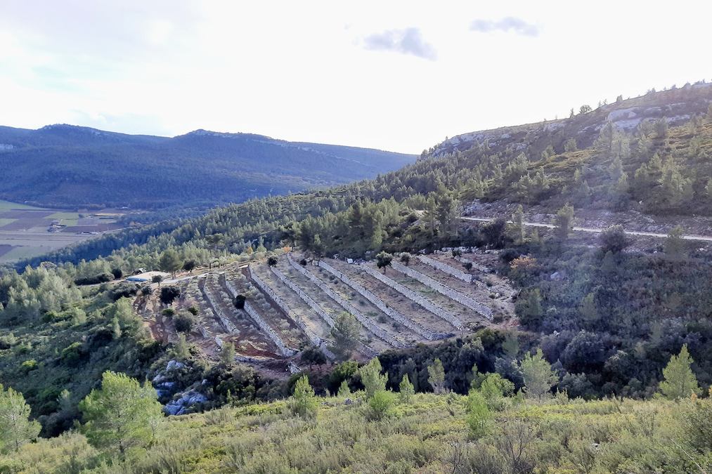Cuges les Pins, le mont Cruvelier