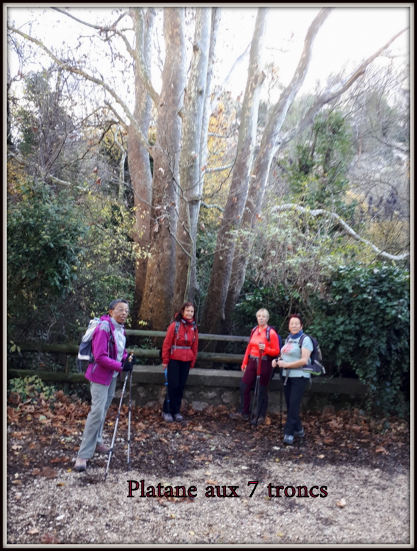 Cuges les Pins, le mont Cruvelier