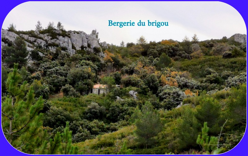 Cuges les Pins, le mont Cruvelier