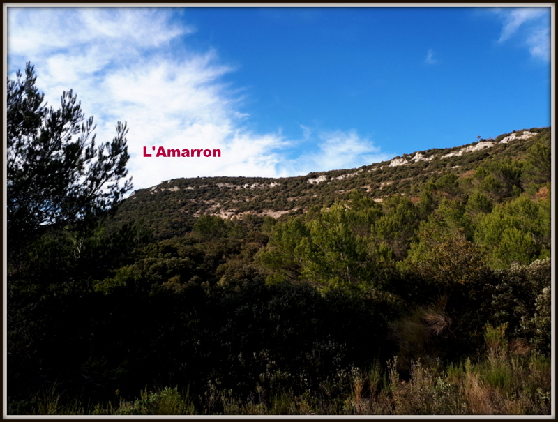 Garéoult, l’Amarron