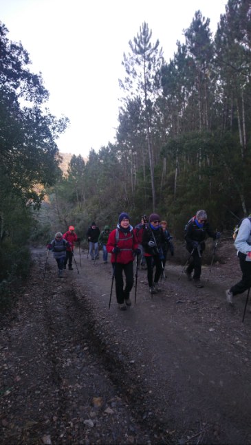 Pignans, les Vanades