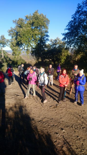 Pignans, les Vanades