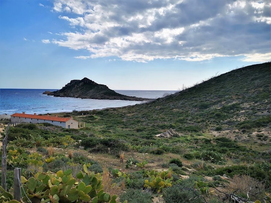 Cap Taillat