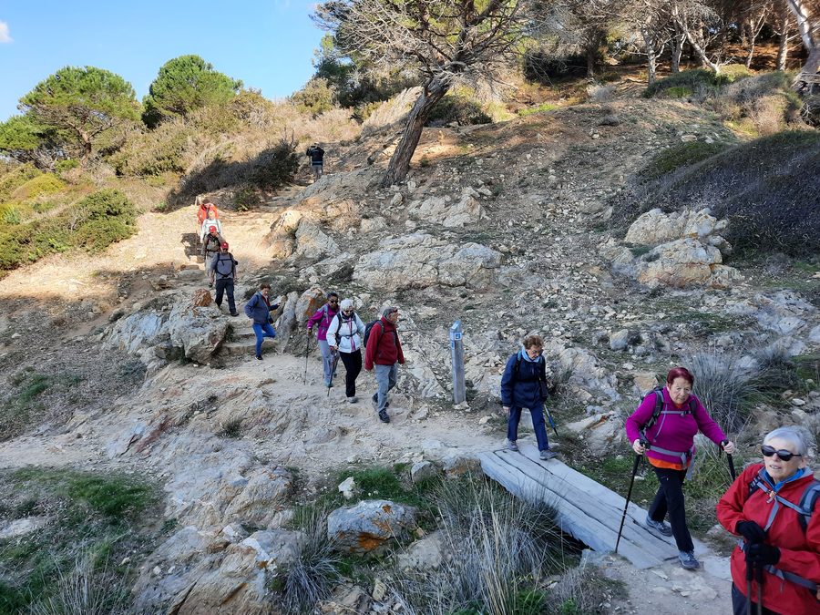 Cap Taillat