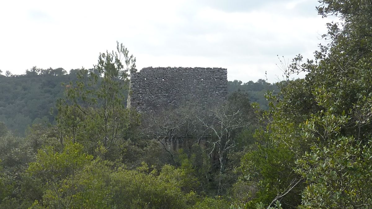 Forcalqueiret, le castellas 
