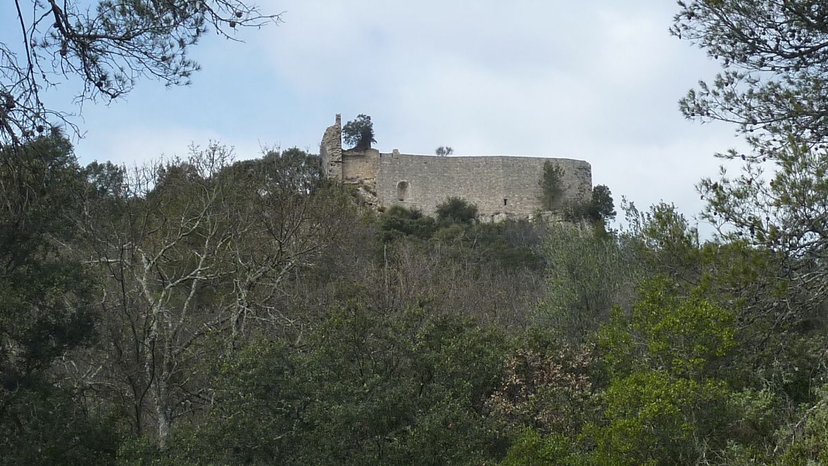 Forcalqueiret, le castellas 