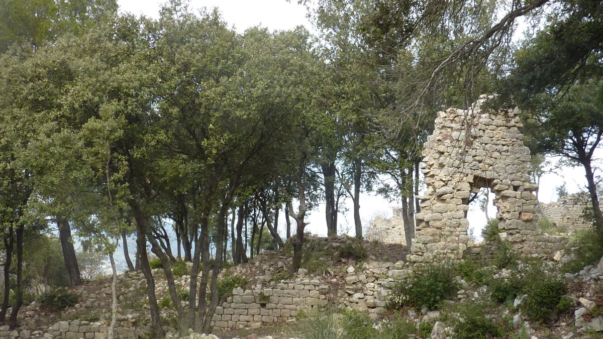 Forcalqueiret, le castellas 