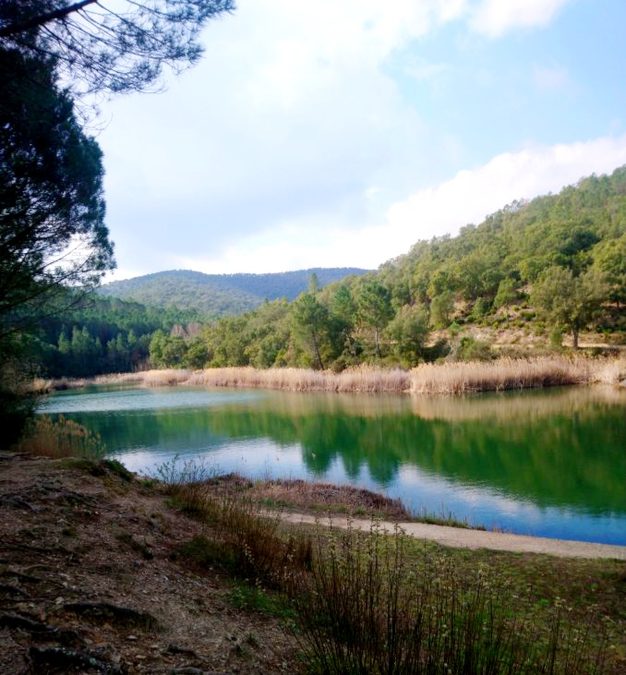 Pierrefeu, camp Bourjas