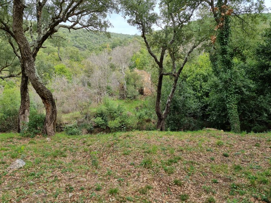 Pierrefeu, la Portanière