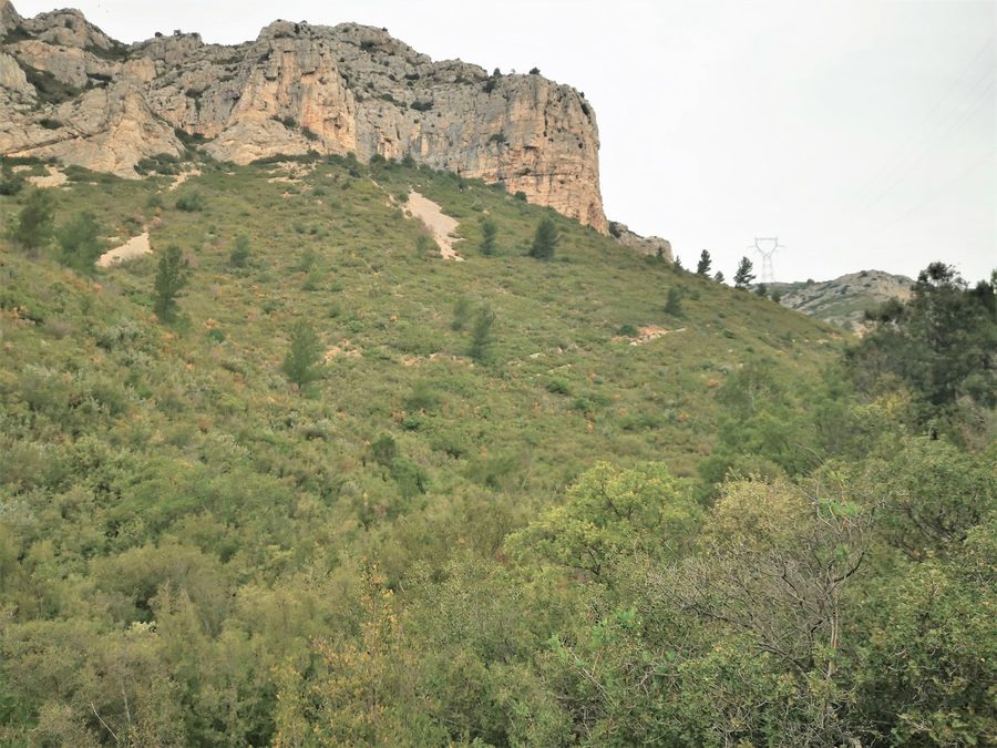 Gémenos, col des Seignors