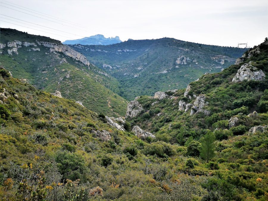 Gémenos, col des Seignors