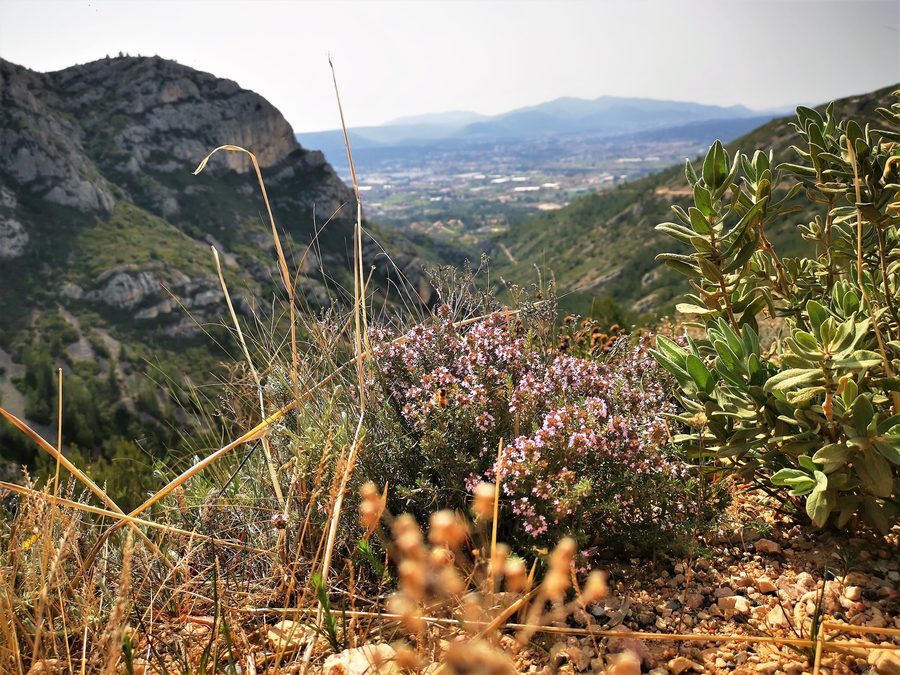 Gémenos, col des Seignors