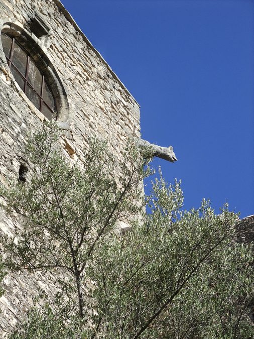 Montfort Correns