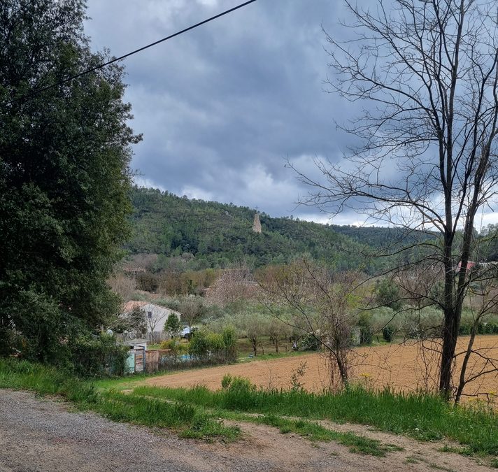 Montfort Correns