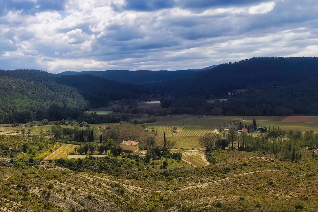Montfort Correns
