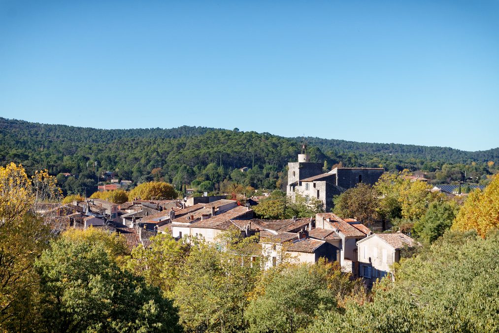 Montfort Correns
