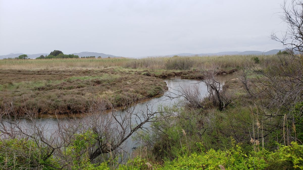 L’Ayguade, les Salins