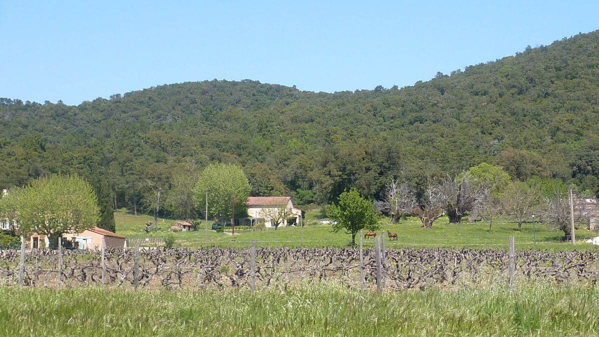 La Môle, Sainte Magdeleine