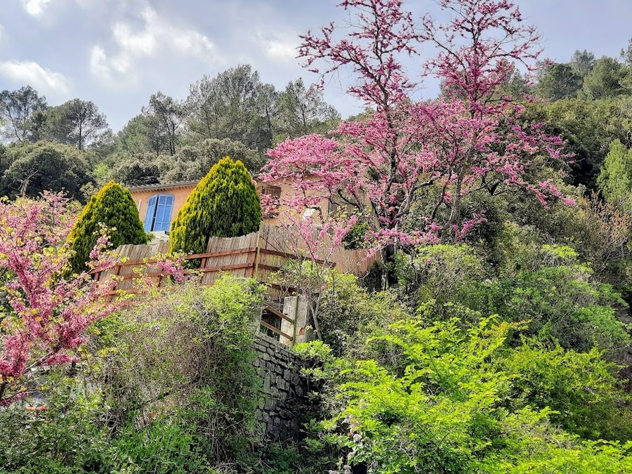 Méounes, la baume Féré