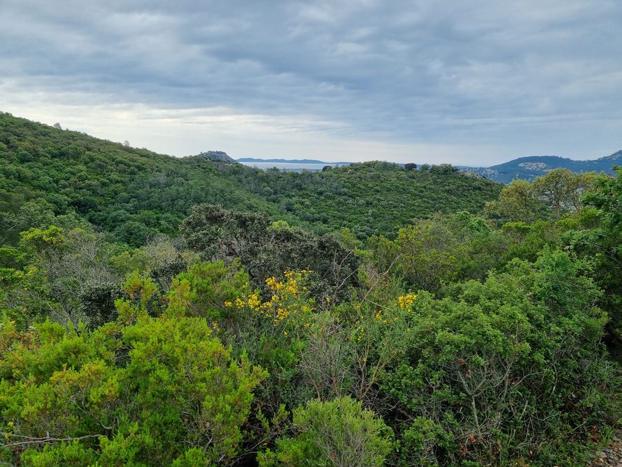 Hyères