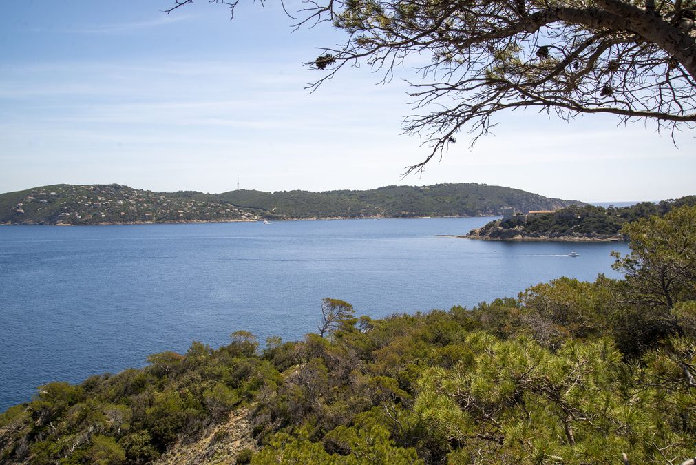 Port-Cros