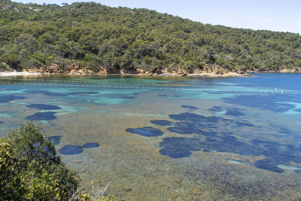 Port-Cros